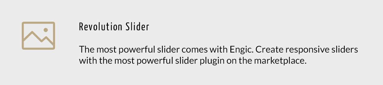 Engic – A Sleek Multiuse Responsive WordPress Theme